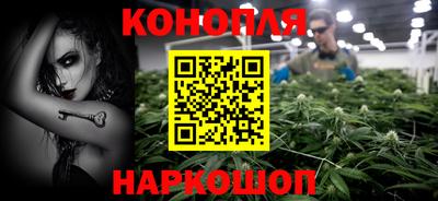 прущие крисы Камышлов
