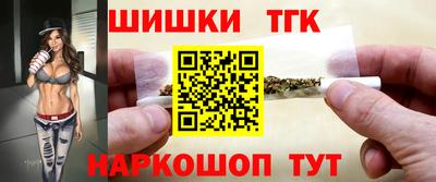 прущие крисы Камышлов