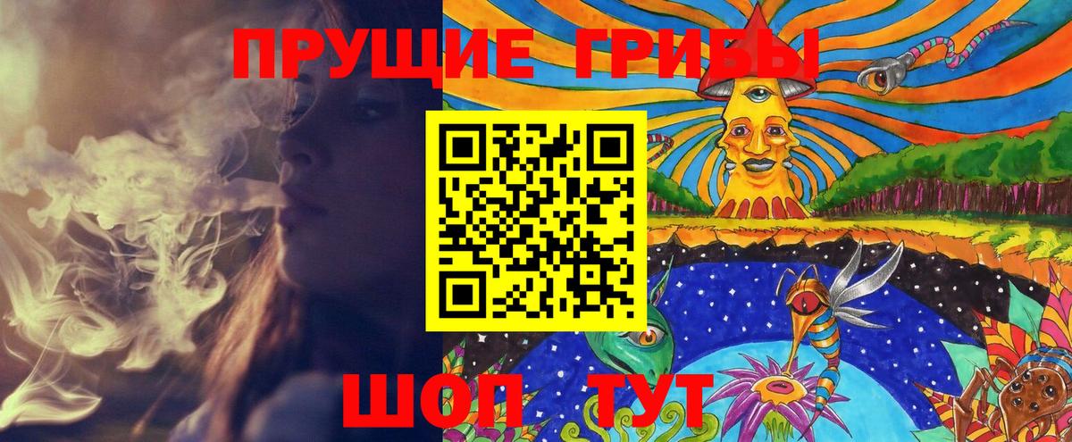 Всеволожск  Галлюциногенные грибы Cubensis  Вход с VPN 